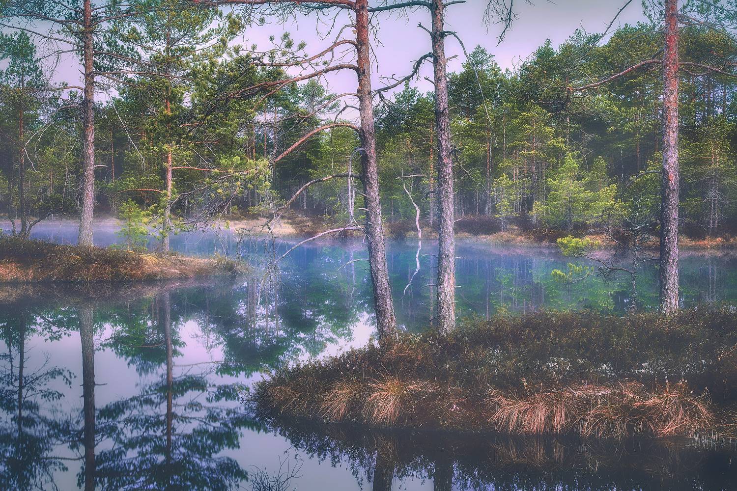 , Кононов Антон