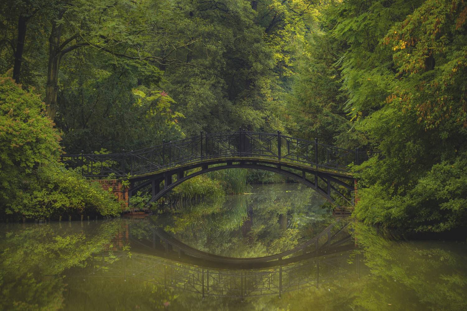 Pszczyna, Tree, Water, Lake, Architecture, Architectural, Nature, Reflection, Autumn, Bridge, Park, Green, Pond, Cyfka, Pszczyna, Poland, Damian Cyfka