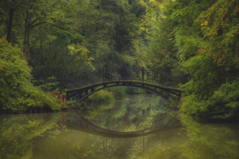 Bridge фото превью