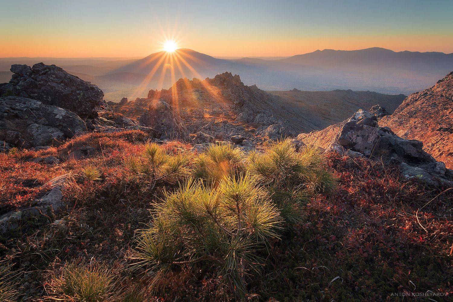 , Антон Кошетаров