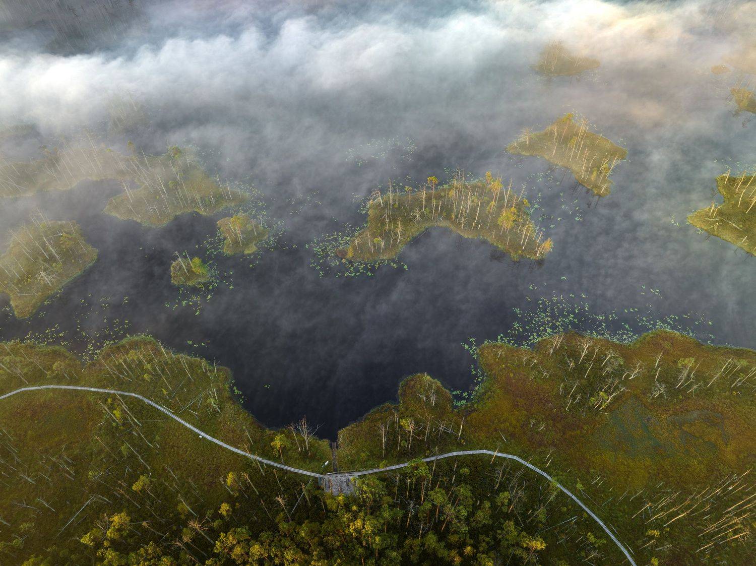 #tireli, #болото, #утро, #туман, #рассвет, Nikolay Gordon