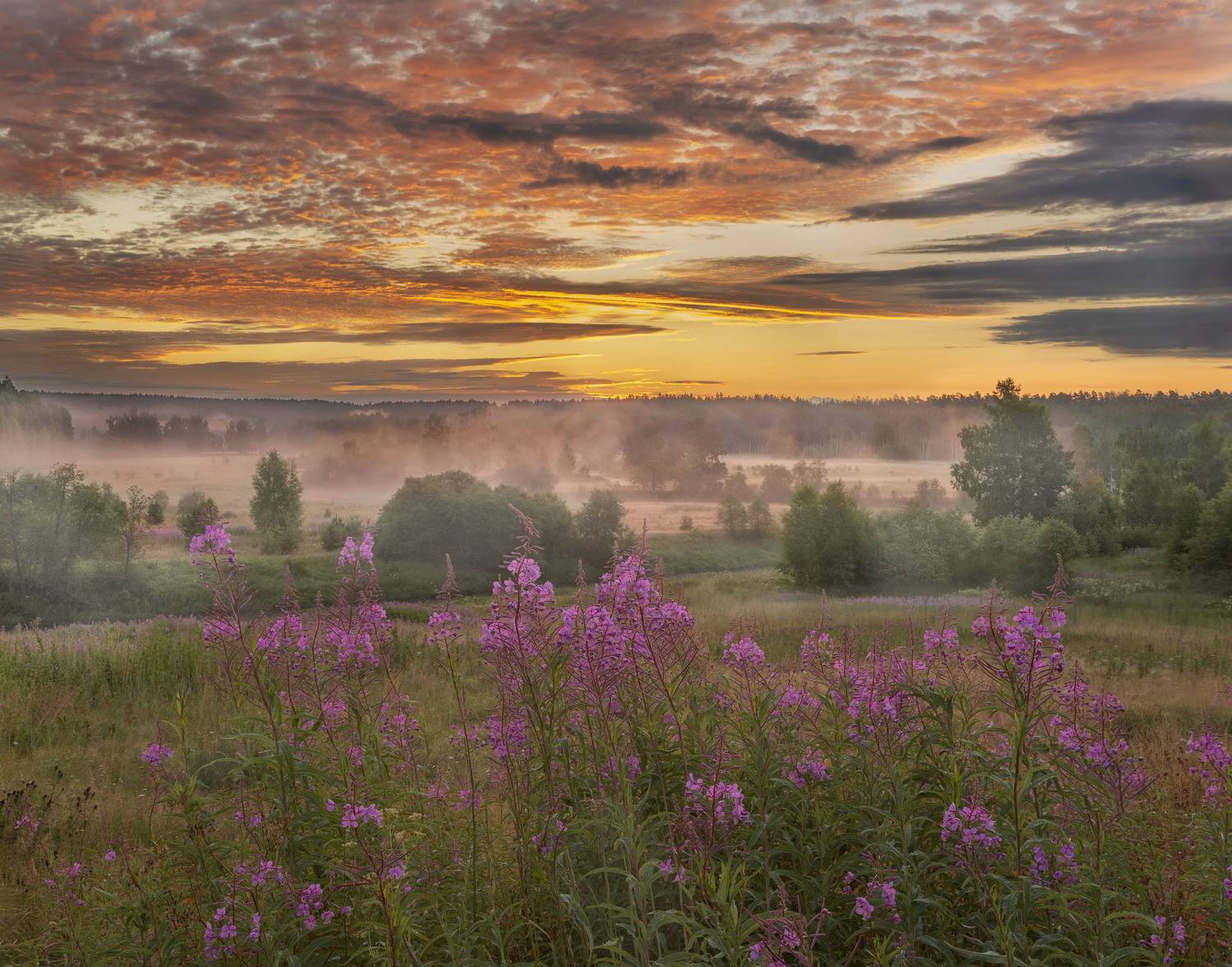 Фототуры с Владимиром Рябковым, #topnature #russpasibo #magic_shots #lovelyRussia #sunset_vision #exclusive_sky  #exclusive_shots #loves_russia2 #photoarena_nature #nature_sultans #nature_perfection #rsa_sky #rsa_sunset #photorussia #rsa_naturepics #sunse, Владимир Рябков