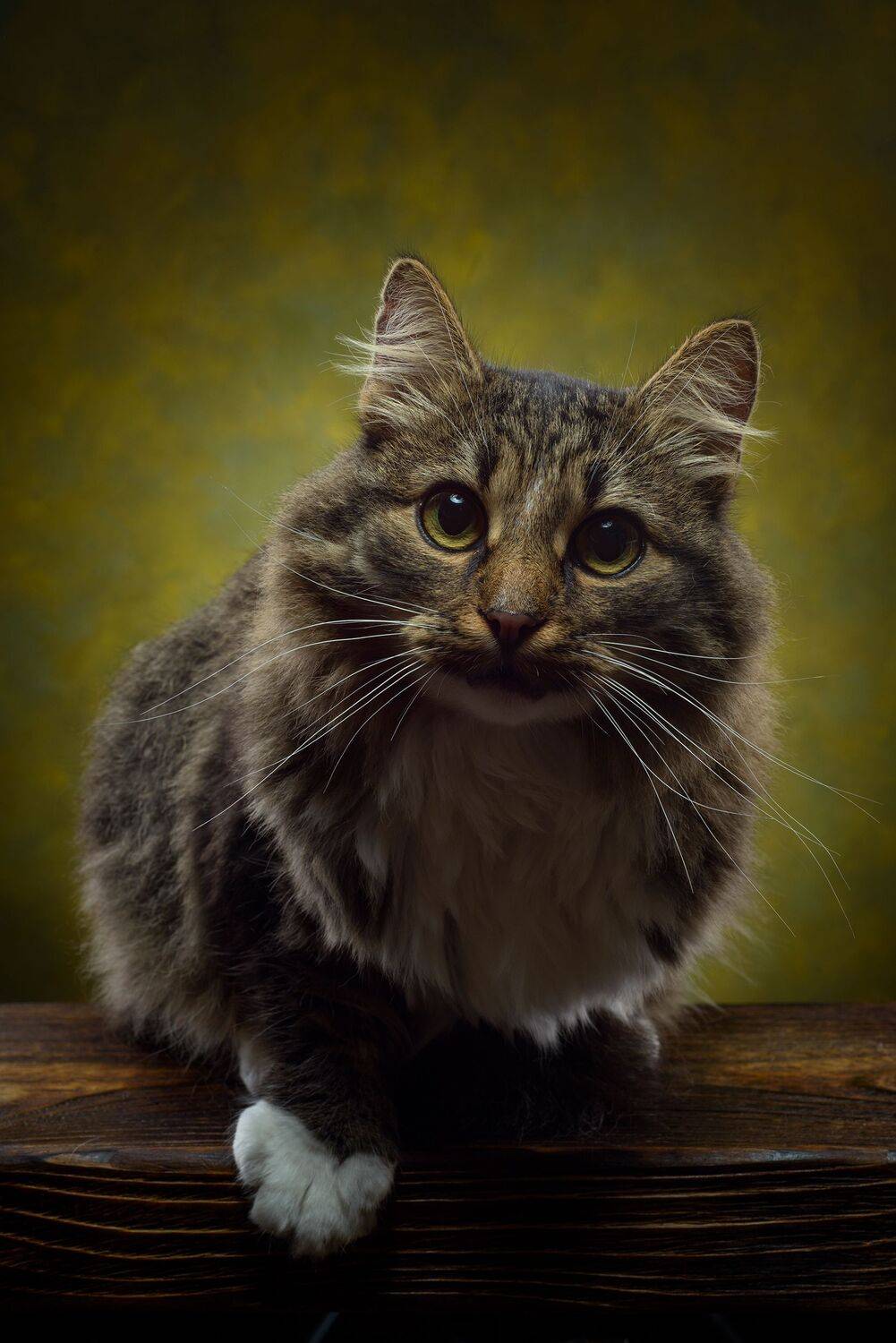 , Сизов Кирилл