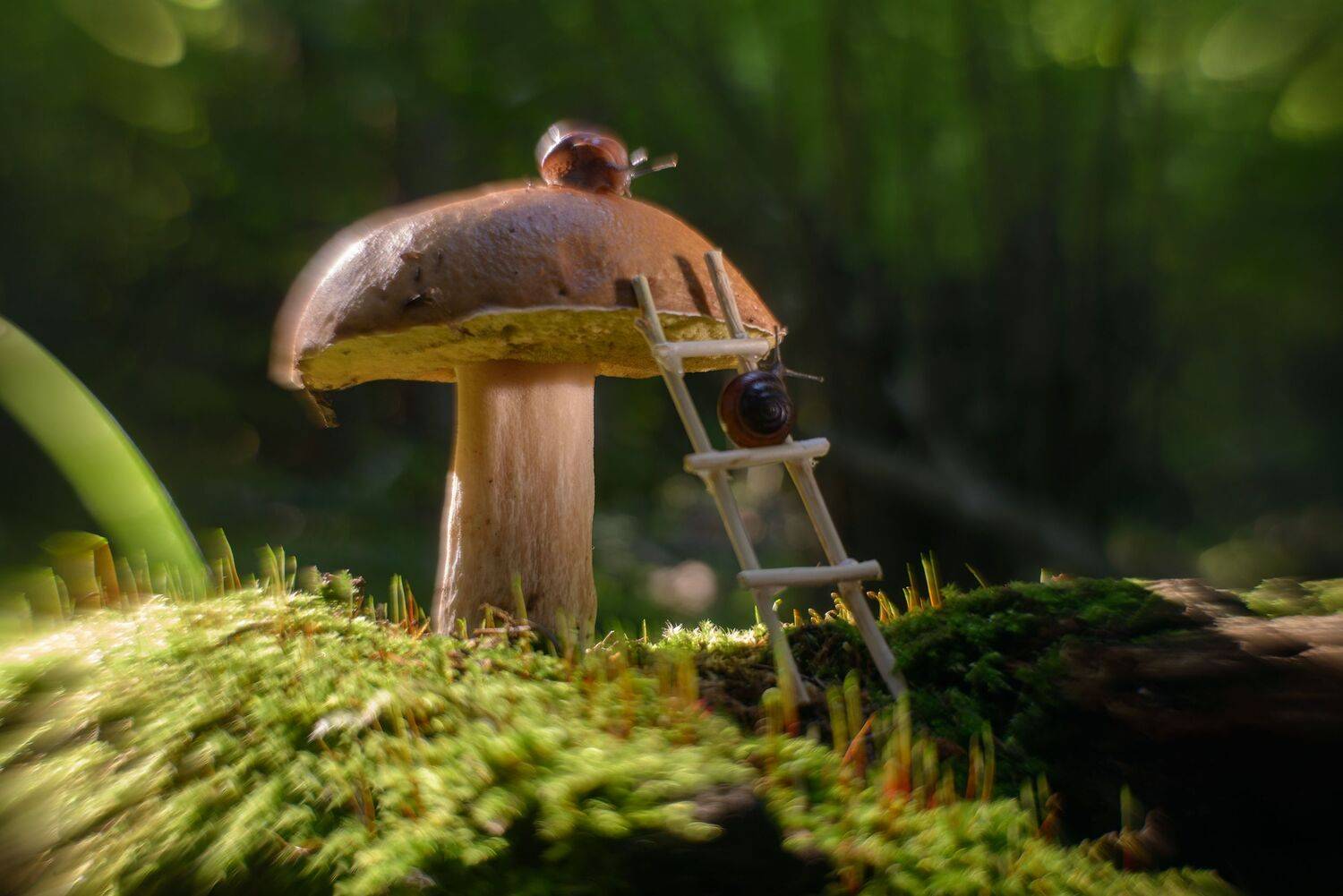 , Сизов Кирилл