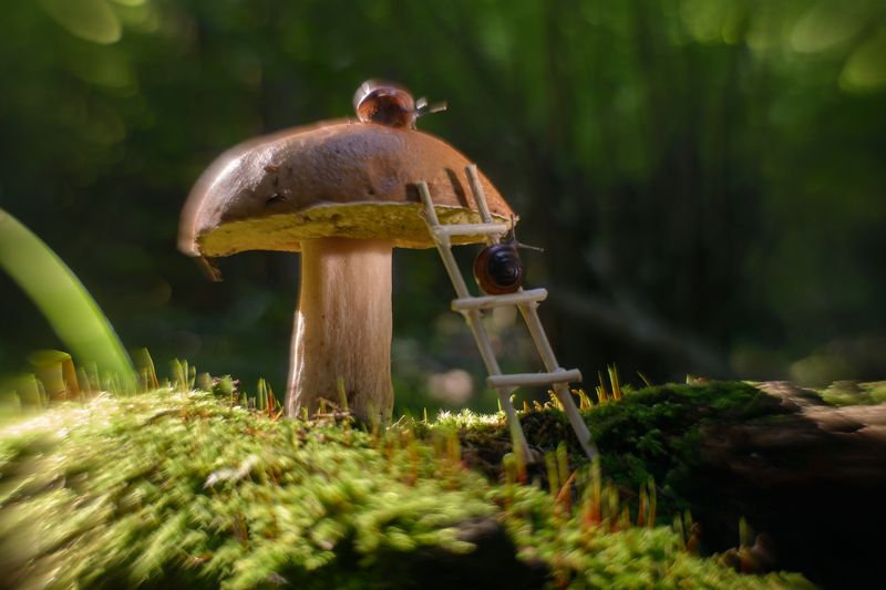 фото превью