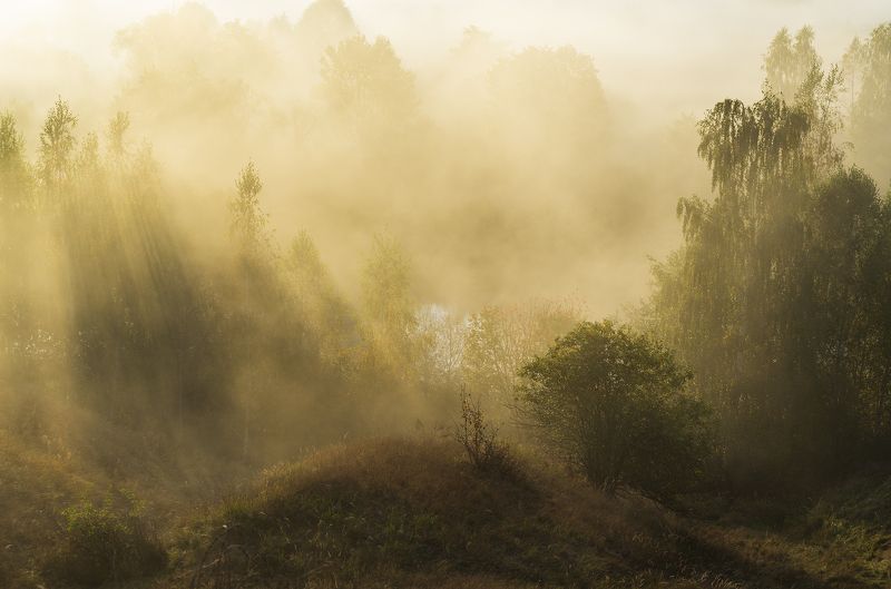 Рождение дня фото превью