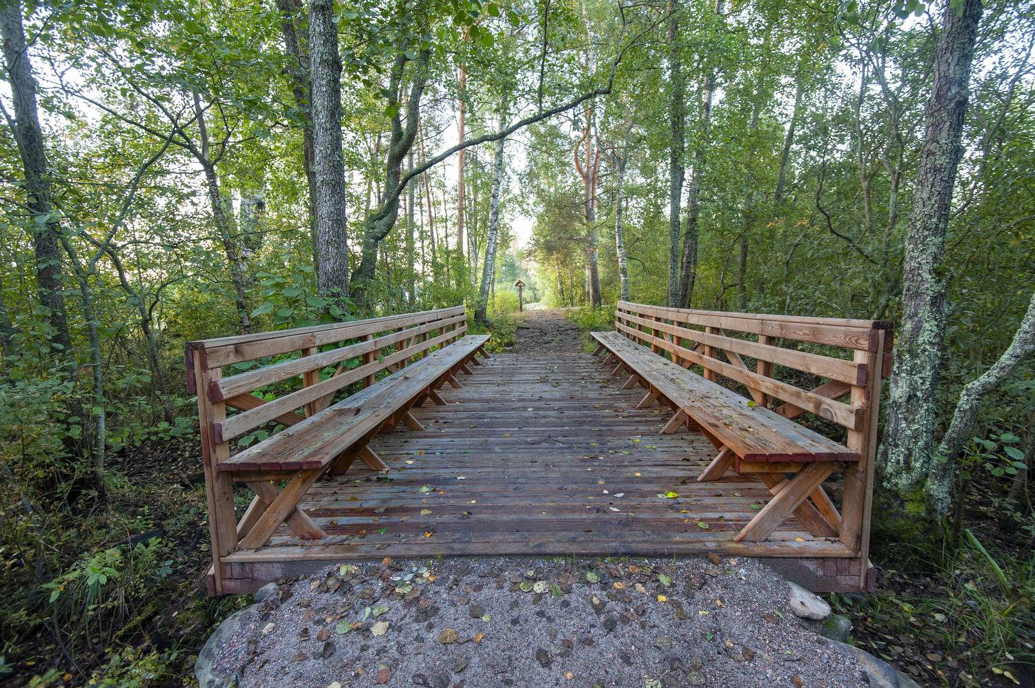 , Георгий Сапожников