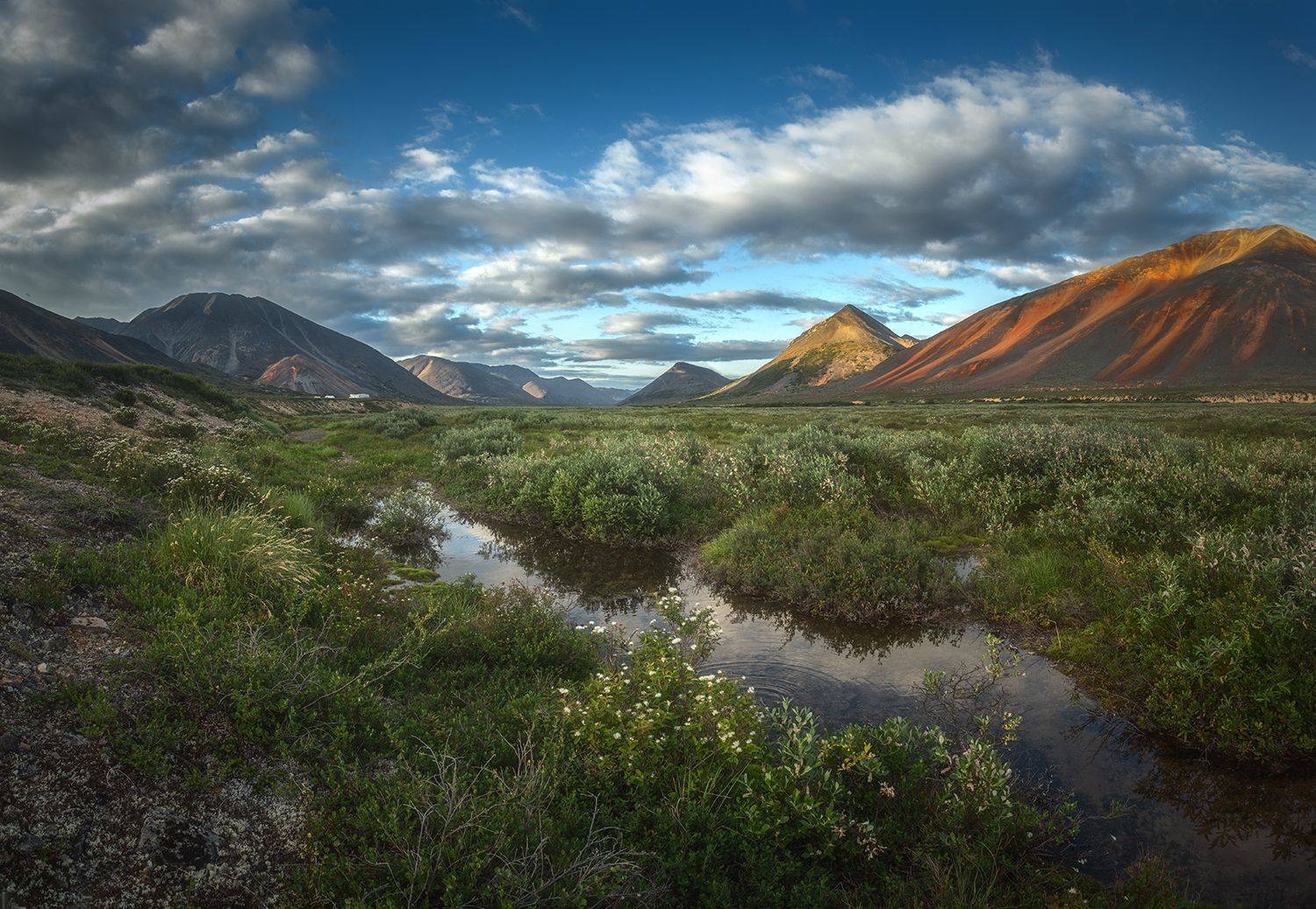 , Андреев Николай