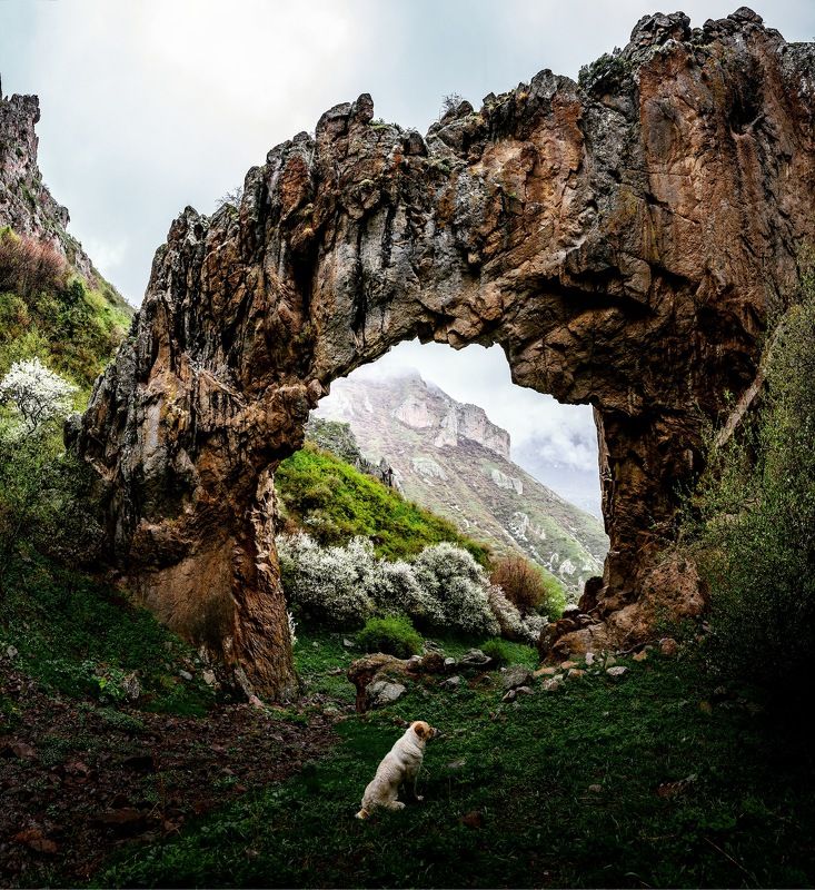 В горах Армении фото превью