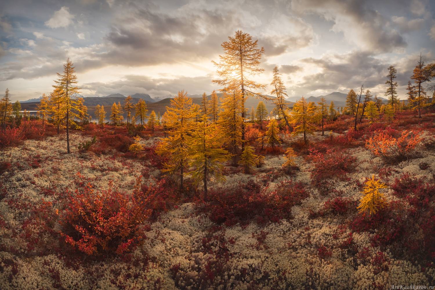 колыма, дальний восток, магаданская область, озеро джека лондона, краски осени, золотая осень, лесотундра, коса биологов, Арсений Кашкаров
