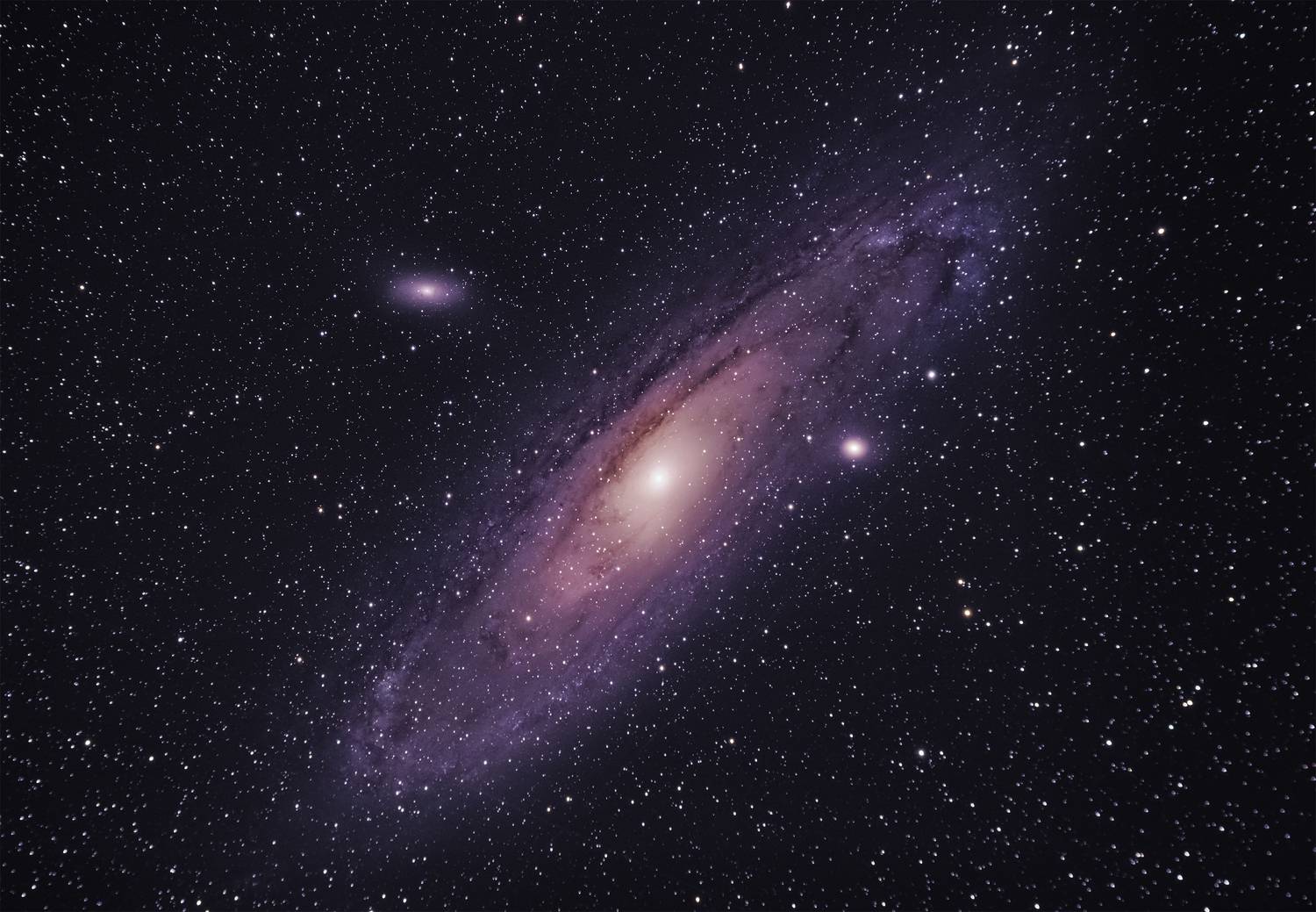 , Елена Ермолина