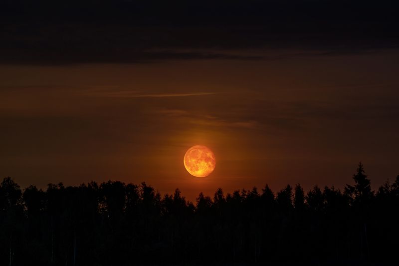 луна, ночь, красная луна, лес, природа Краснолуние фото превью