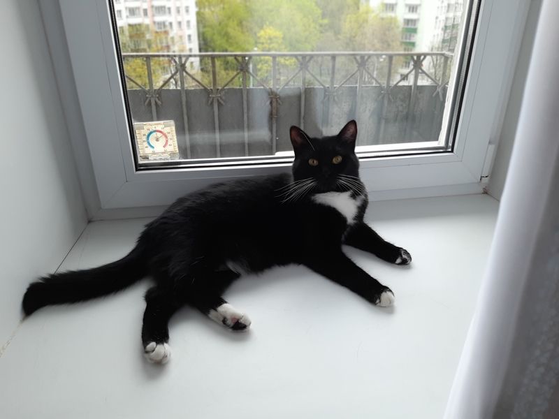 Осень фото превью