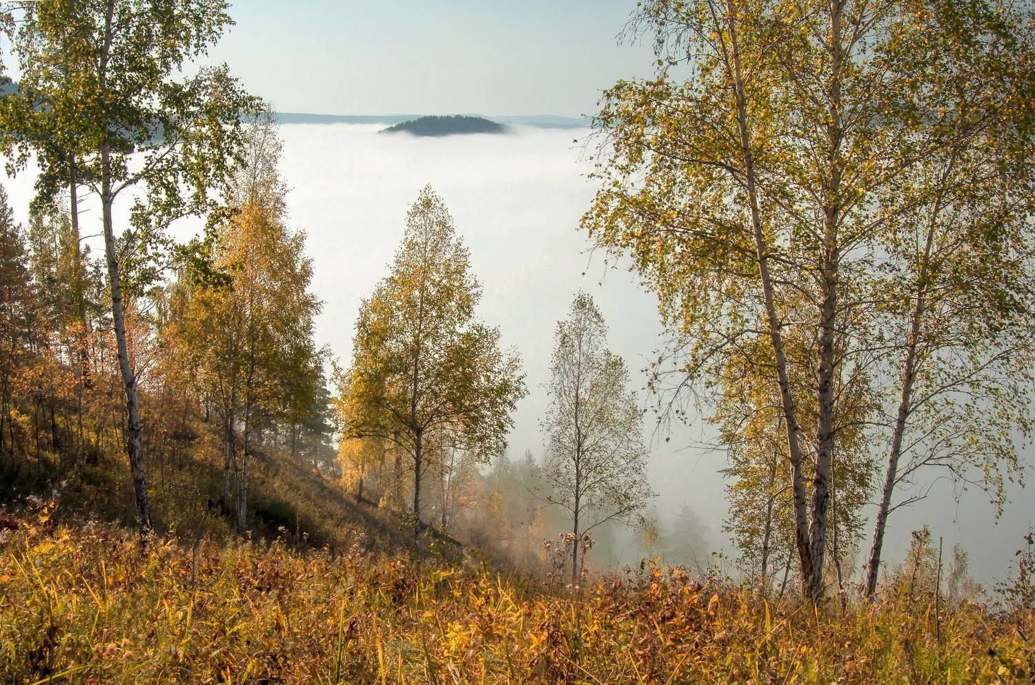 манская петля, осень, туман, сибирь, Фомина Марина