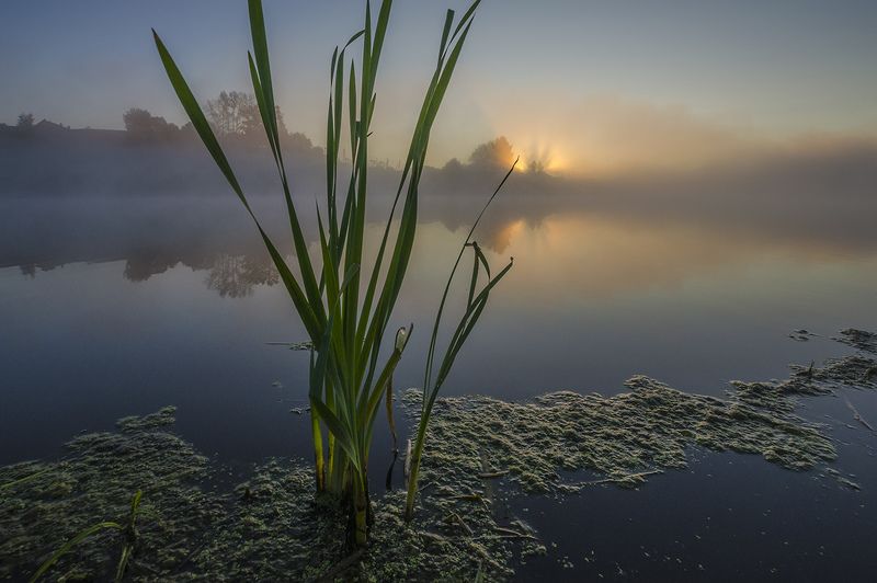 В то утро сердце замирало фото превью