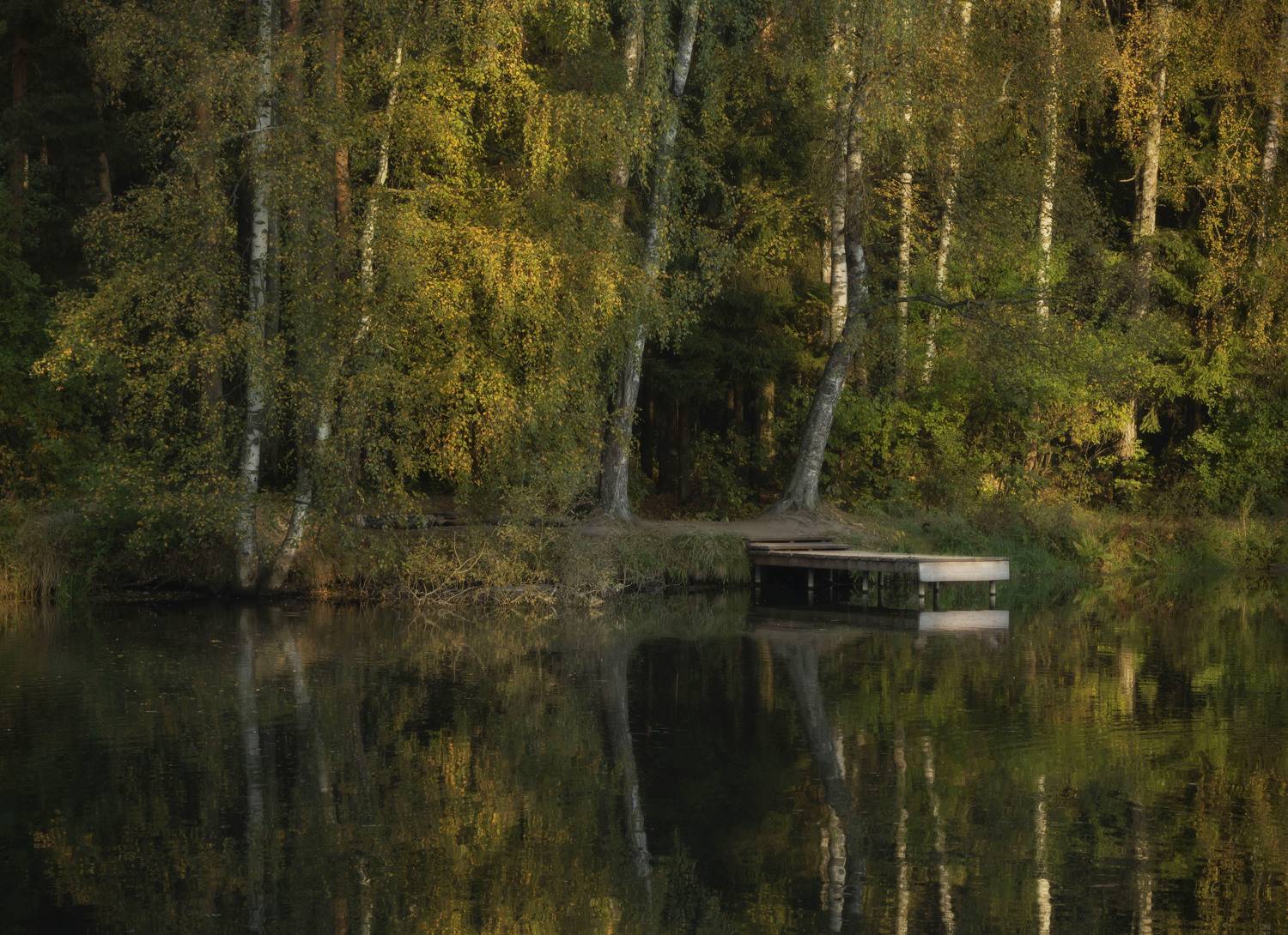 осень утро, Olga Bonina