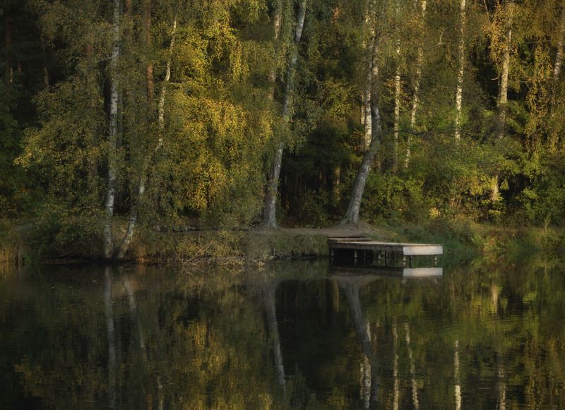 Осеннее утро у леса фото превью