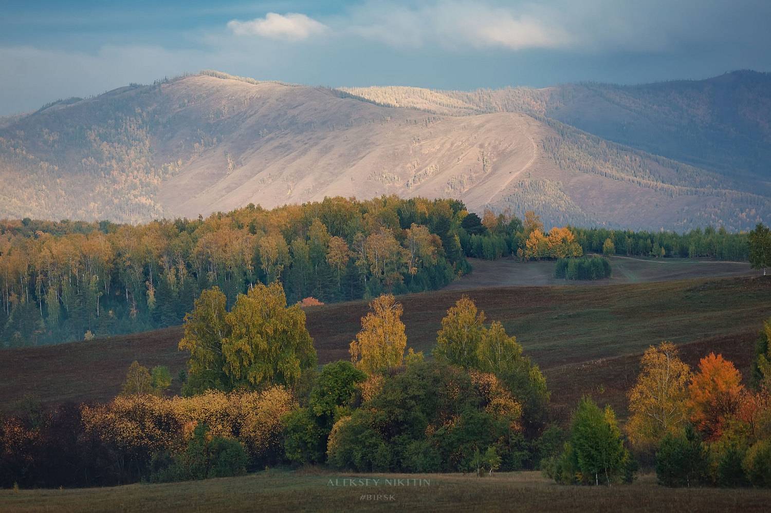 , Никитин Алексей