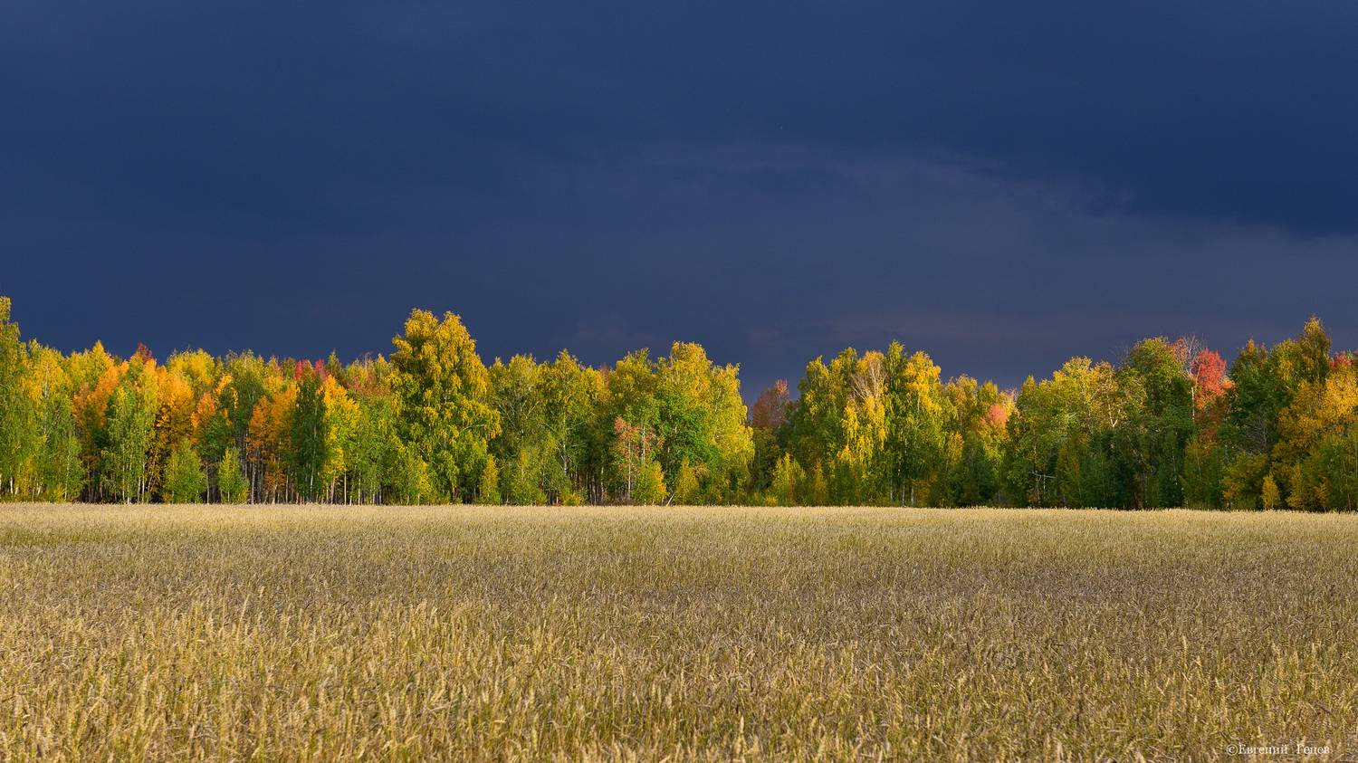 пейзаж, урал, осень, лес, поле, Евгений Гецев