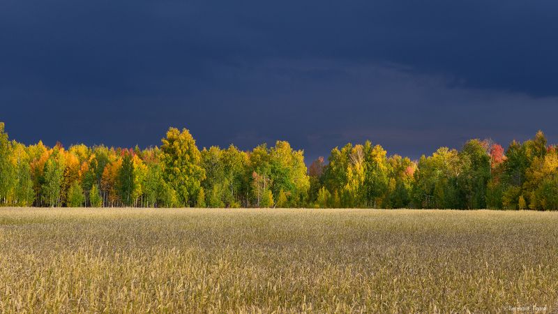 пейзаж, урал, осень, лес, поле Перед дождем фото превью