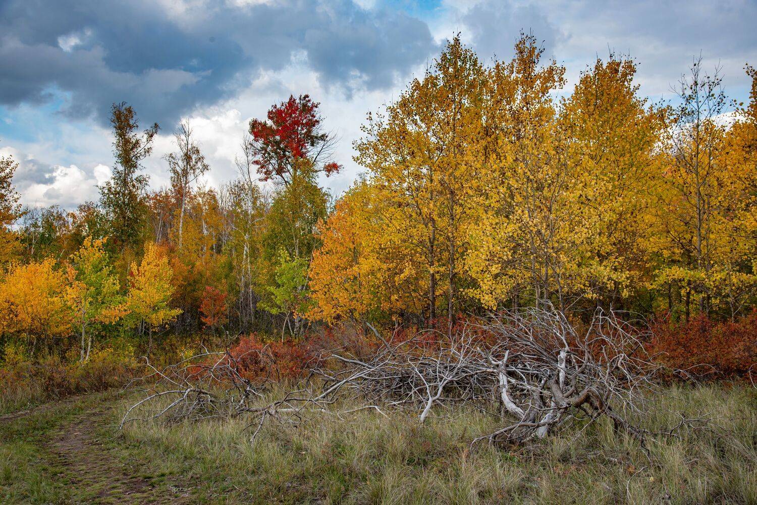 осень, Евгений Дроботенко
