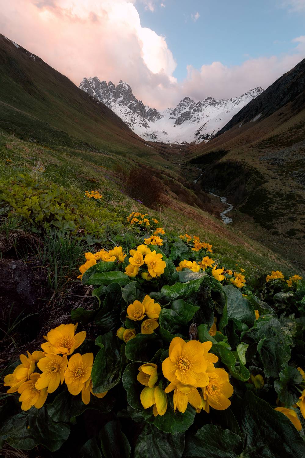 горы, грузия, небо, цветы, пейзаж, небо, lanscape, mountains, Рябинин Влад