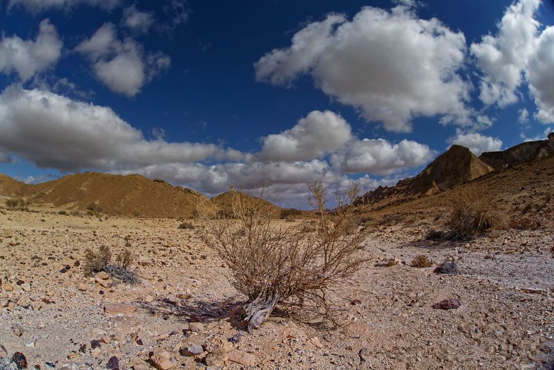 negev desert - пустыня негев - הנגב фото превью