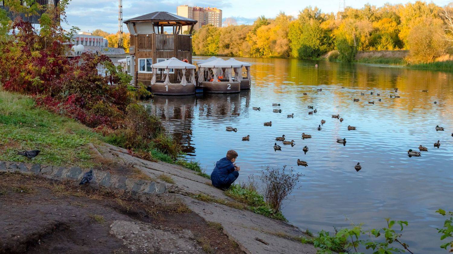 пруд, вечер, осень, утки, пейзаж, Юрий Морозов