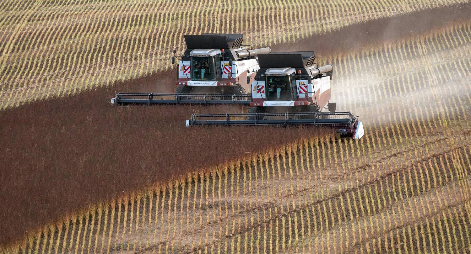 , Сигушин Руслан