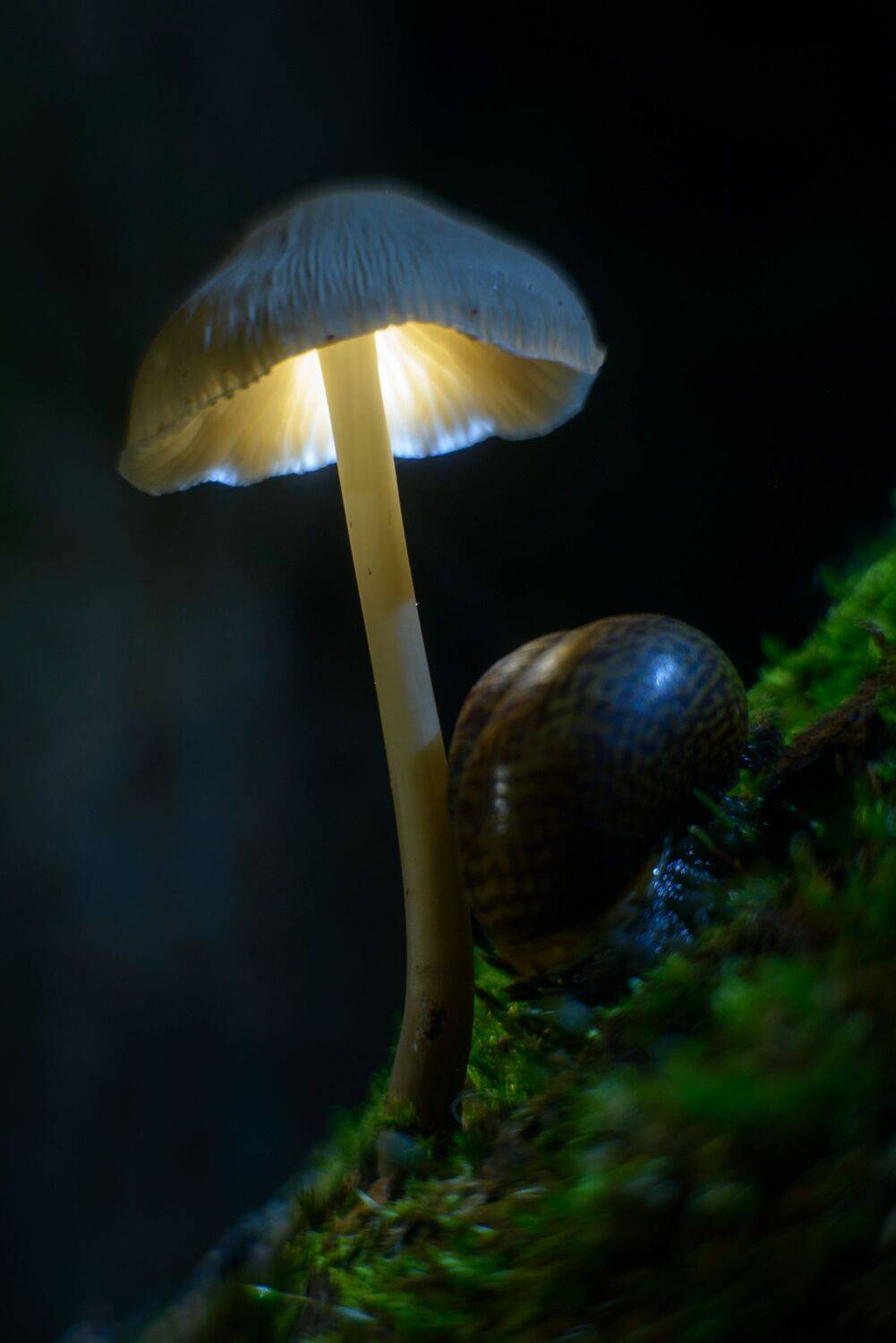 , Сизов Кирилл