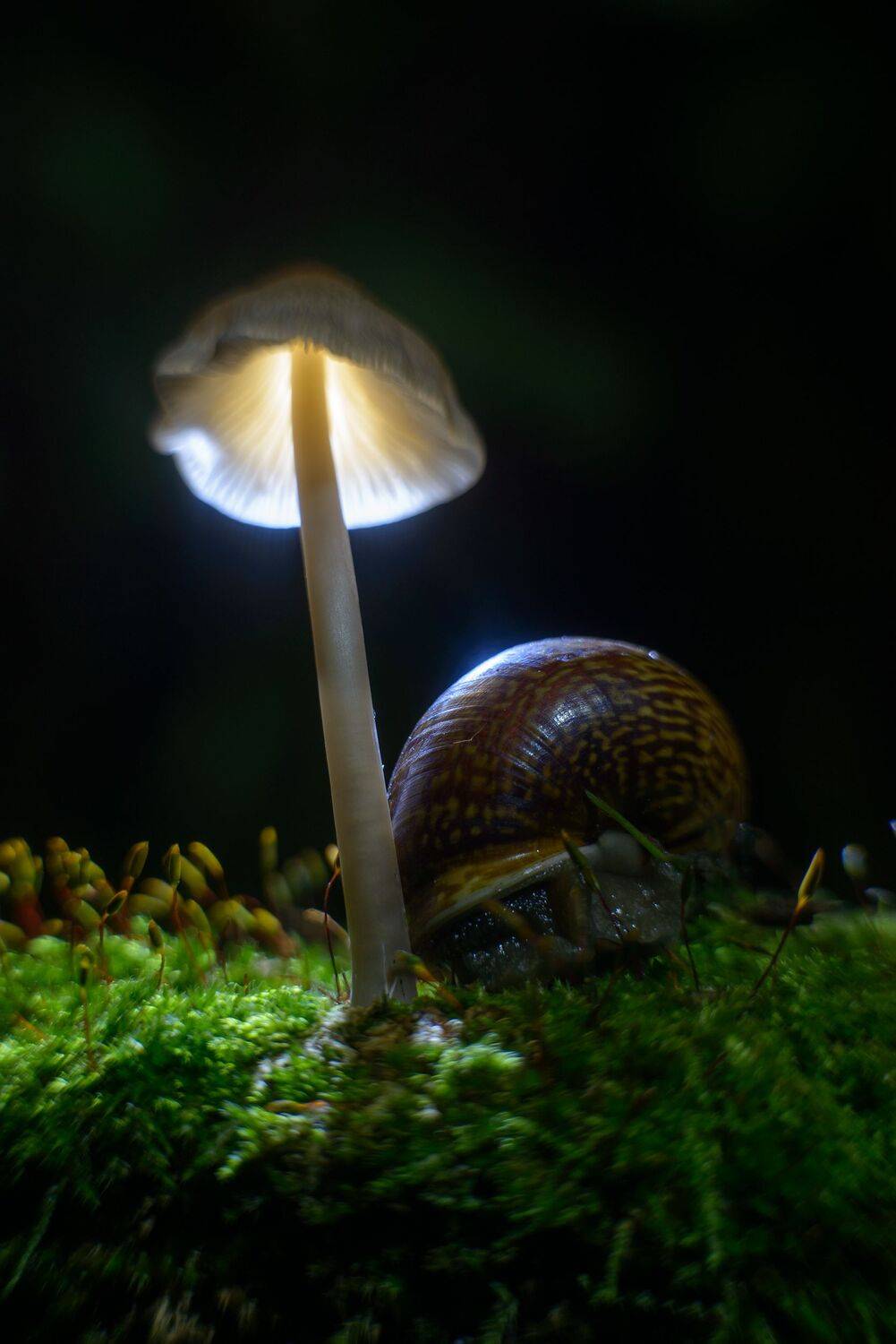 , Сизов Кирилл