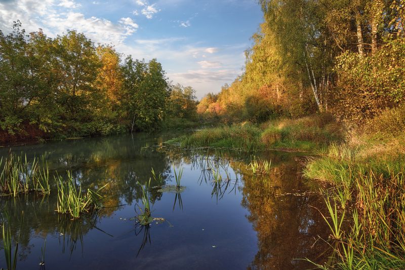 тёплый сентябрь фото превью