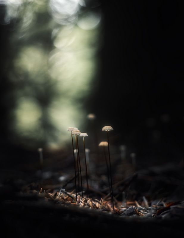 Осень под ногами фото превью