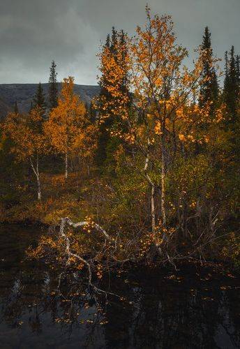 Разные судьбы