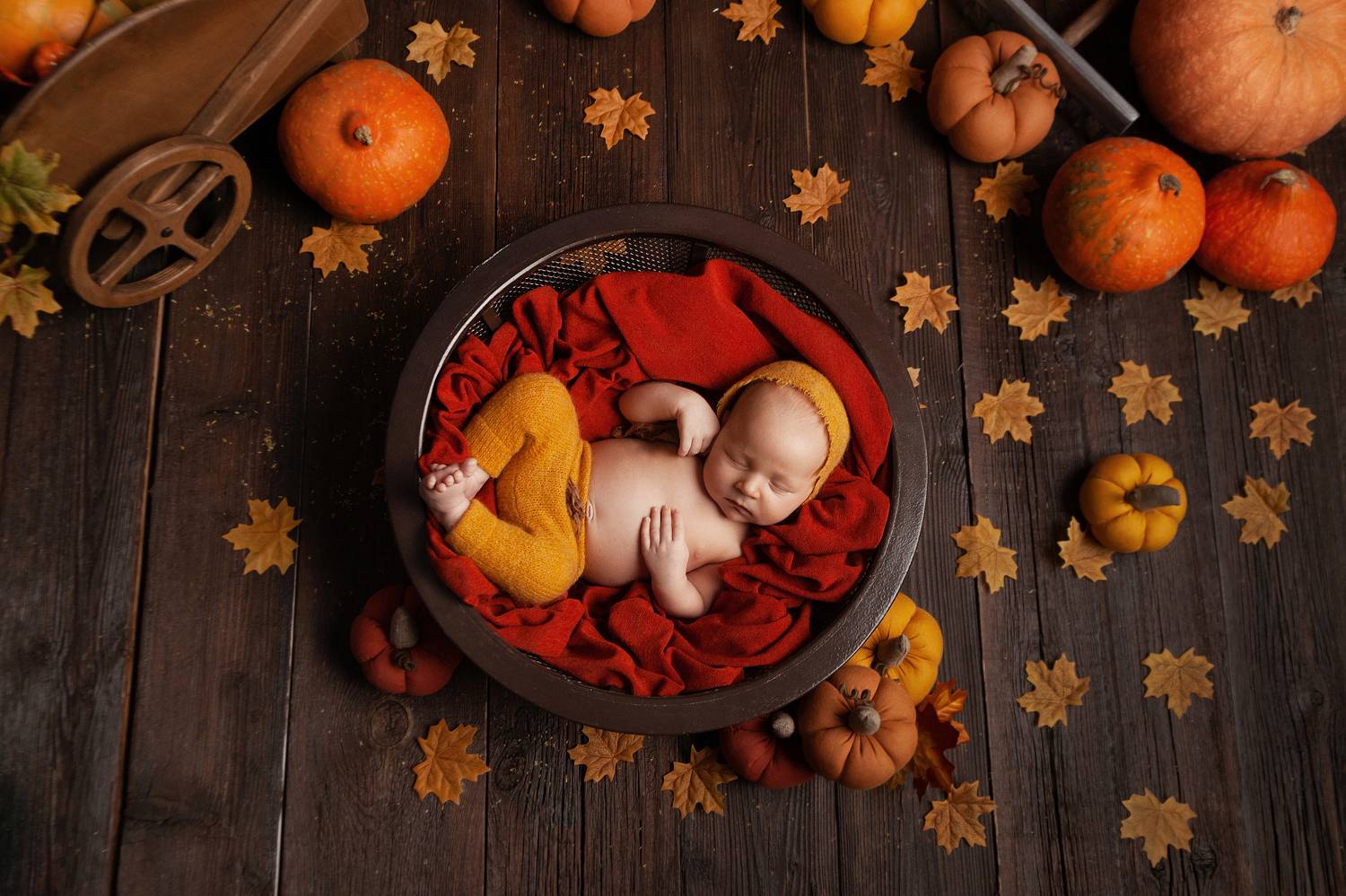 girl, newbornphotography,  love, baby, family, newborn, babyphoto, familyphoto, children, childrenphoto, babynewborn, childrenphotography, newbornphoto, малышка, ньюборн, осень, новорождённый, девочка, новорождённая малышка, Ману Фалько