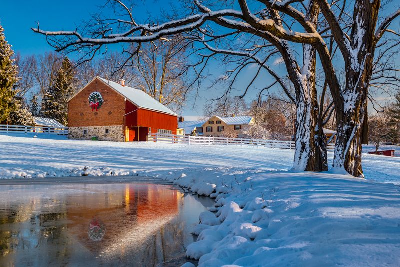 Season\'s Greetings фото превью