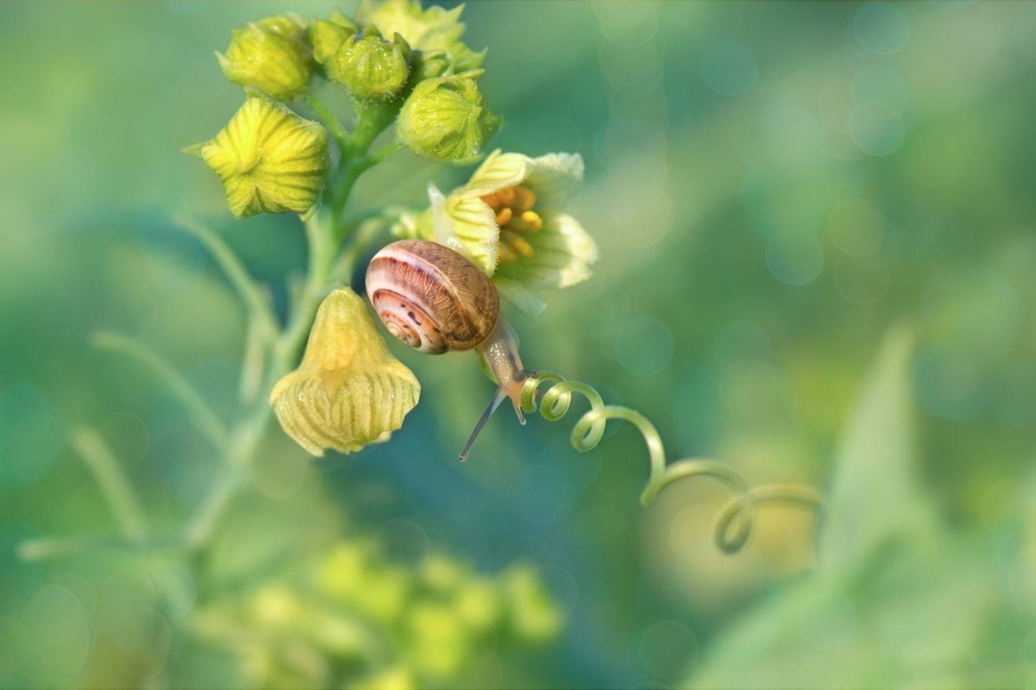 , Людмила Бекман