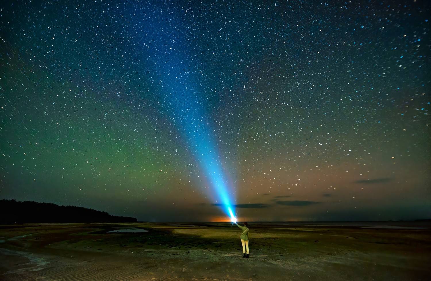 , Васильева Дарья