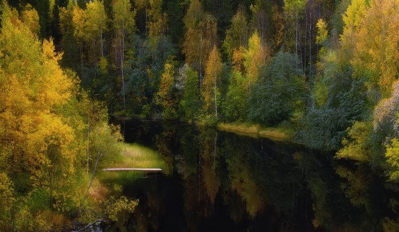 лес, деревья, кусты, трава, река, осень, вечер, отражения Осенняя река фото превью