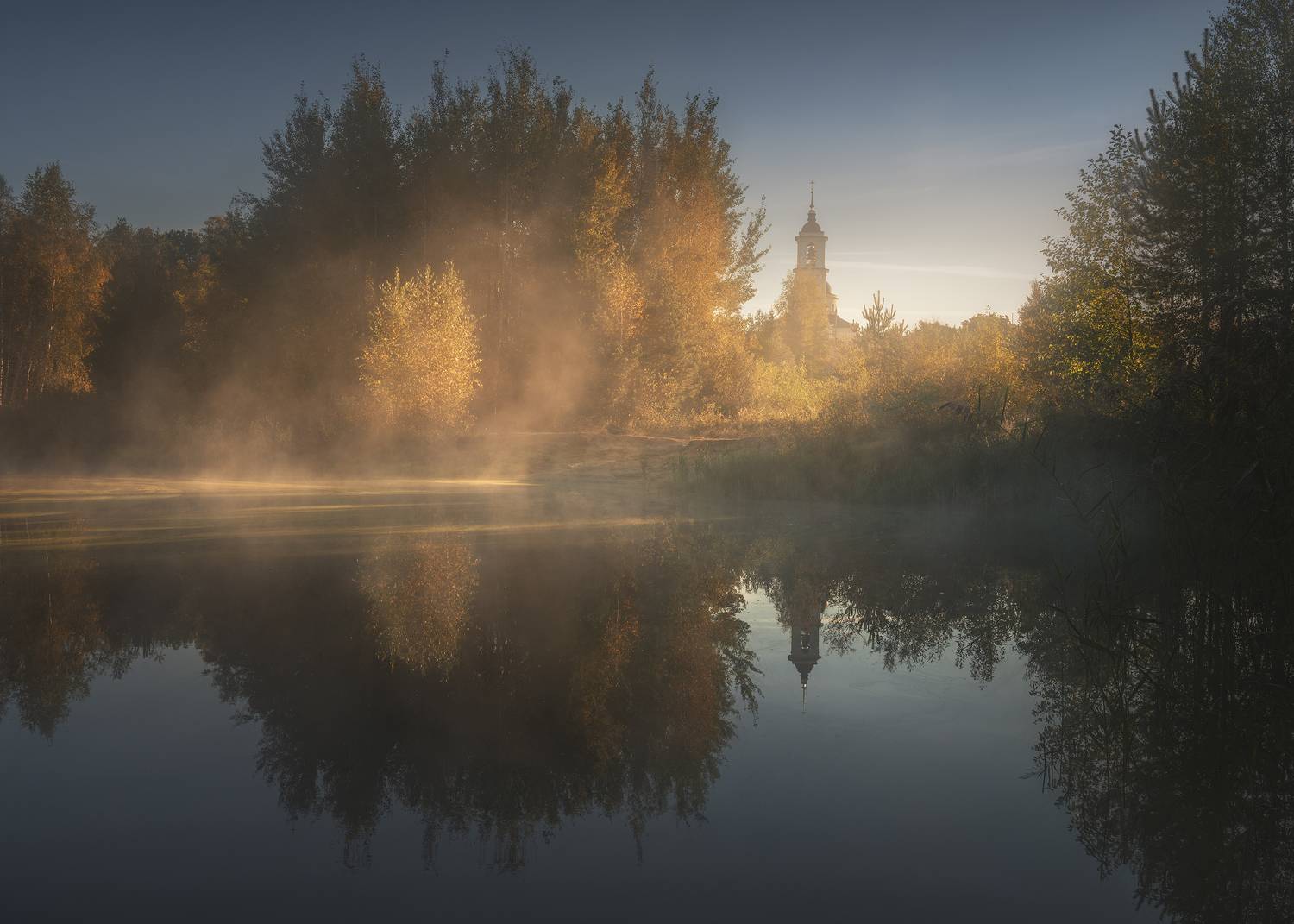 , Политова Анна