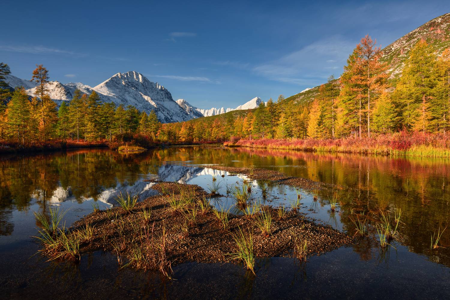 , Максим Евдокимов