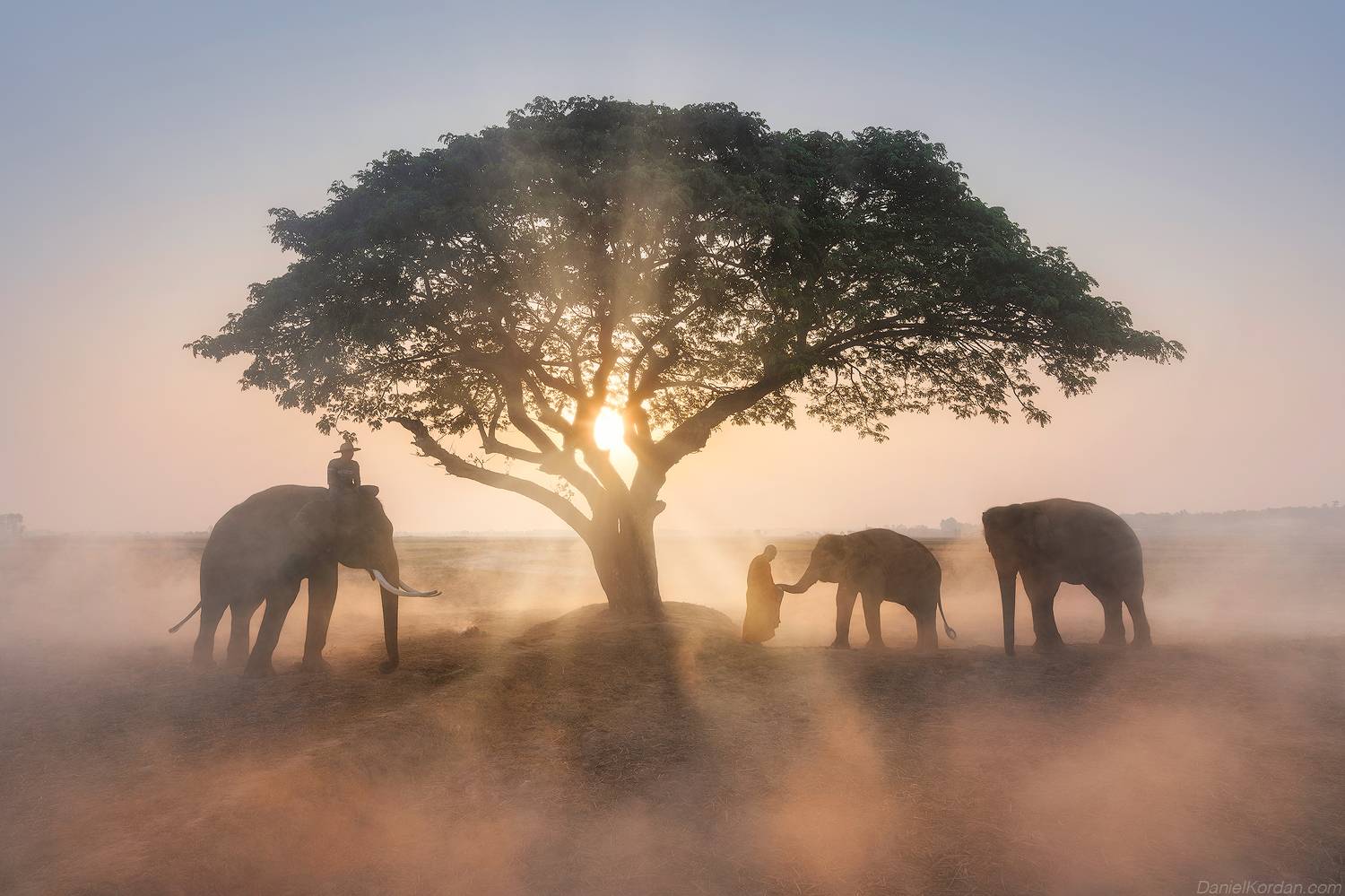 , Даниил Коржонов