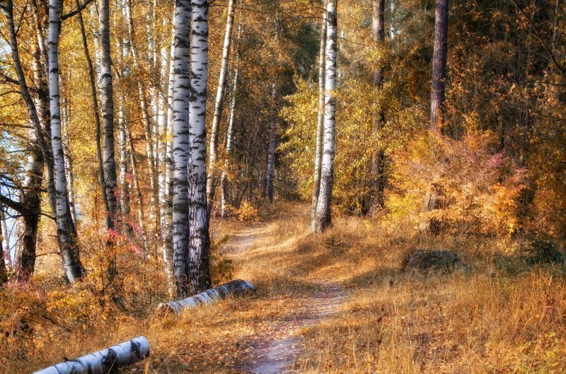 Осень. фото превью