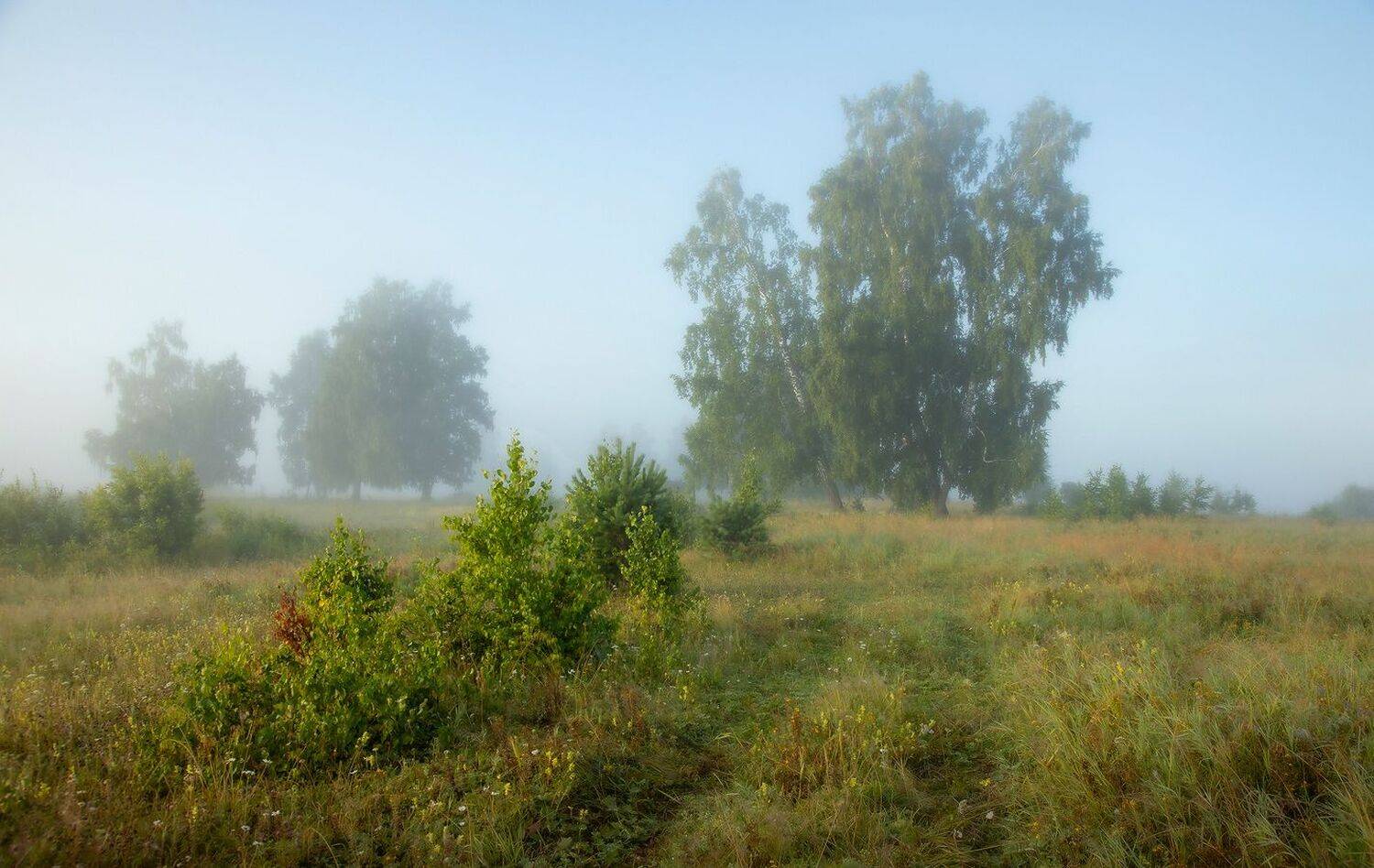 , Алексей Хахлов