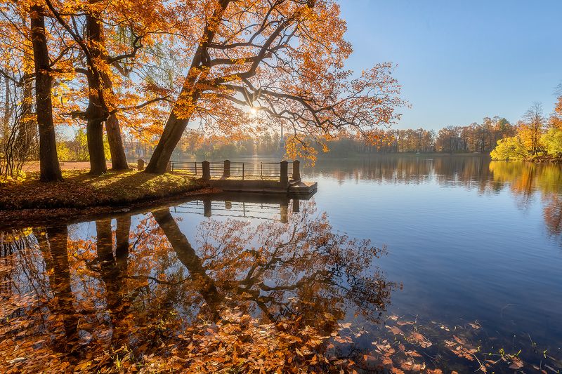 Утро в Екатерининском парке. фото превью