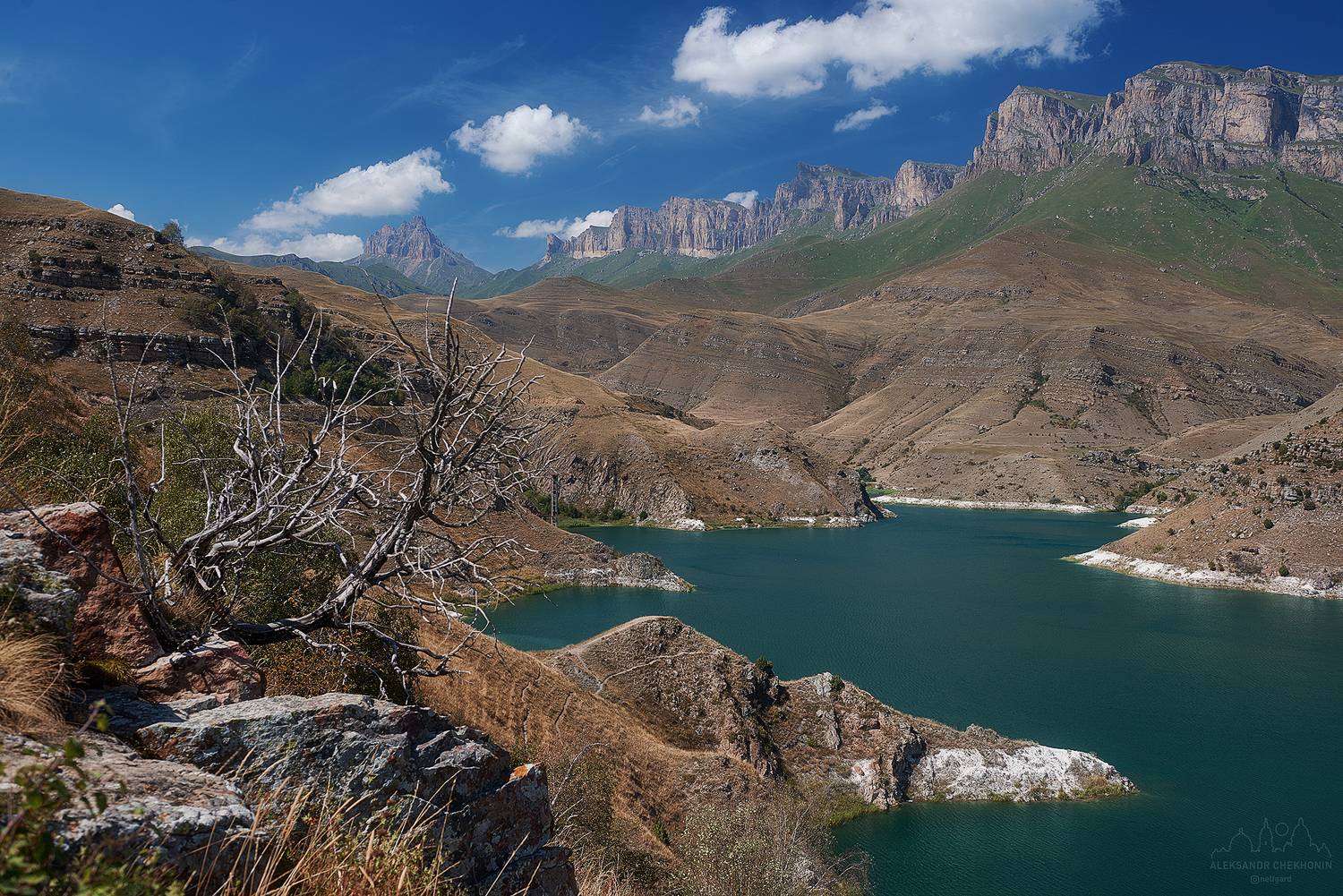 , Чехонин Александр