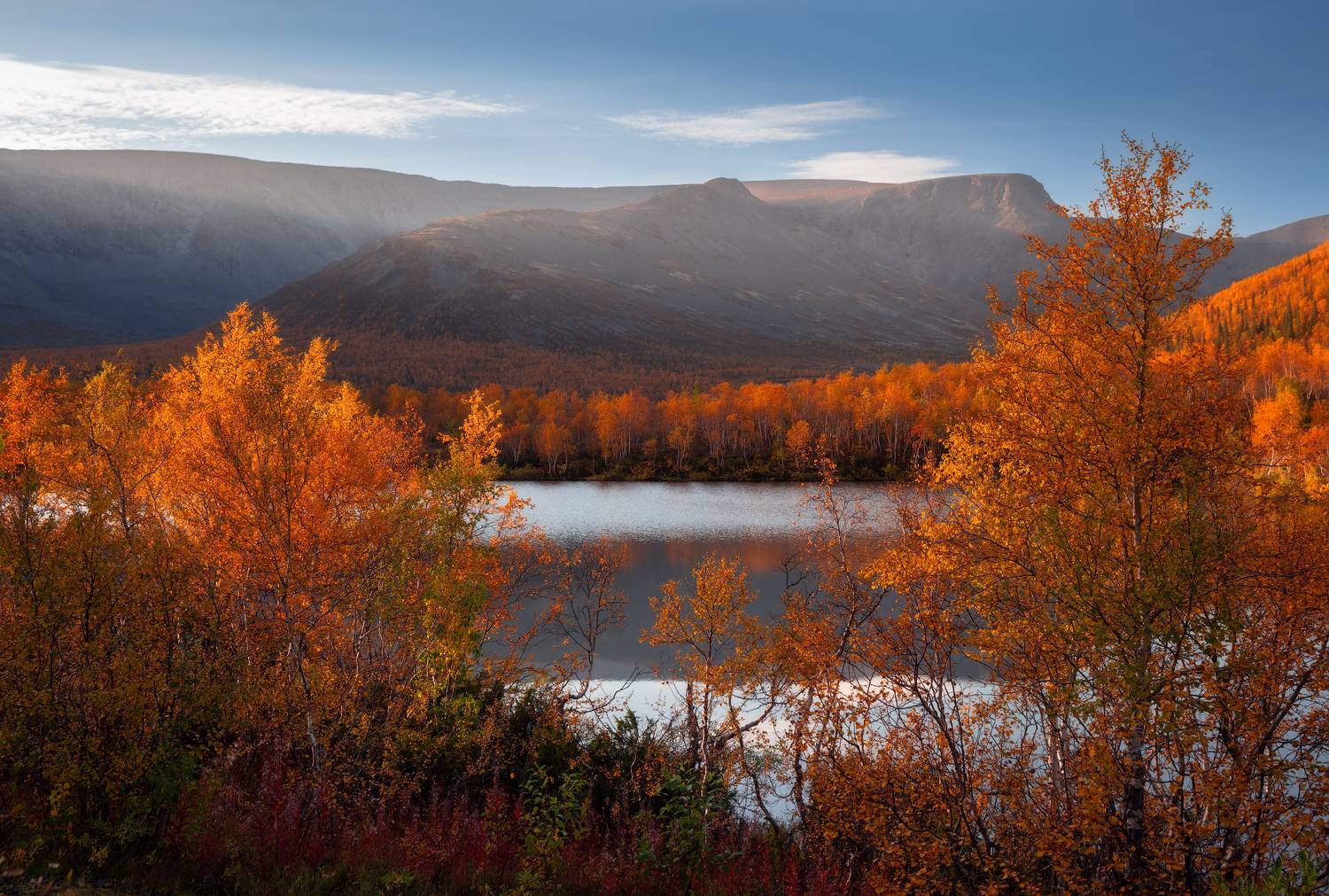 , Истомин Виталий