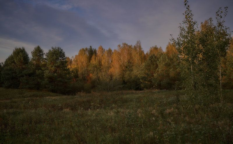 Сентябрь. фото превью