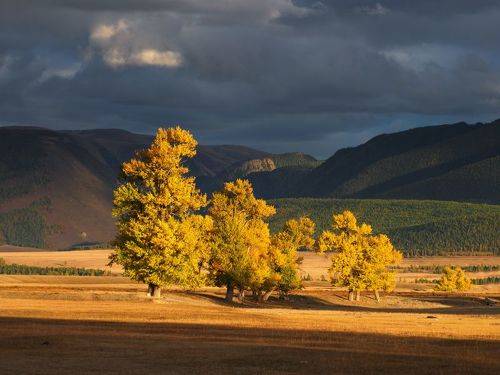 Золото осени