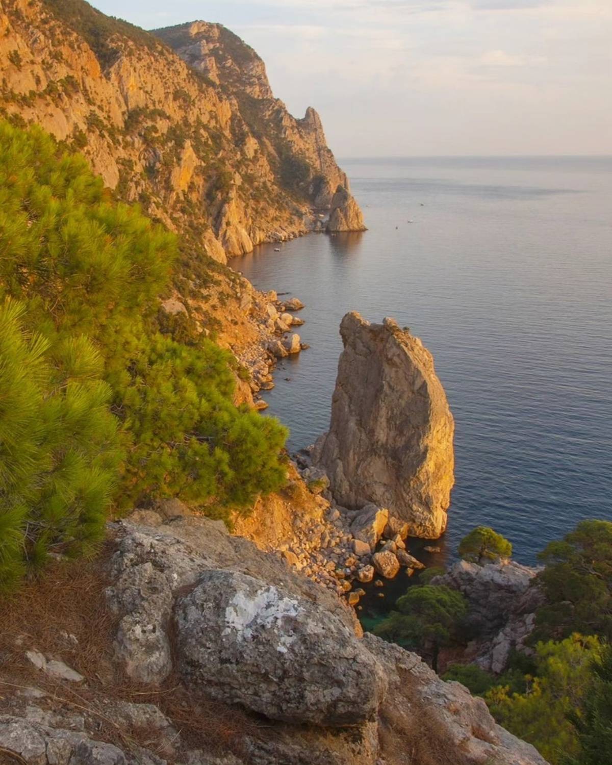 , Петр Косых